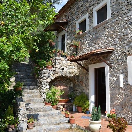 Hostal Agrestis Domus San Giovanni a Piro Exterior foto
