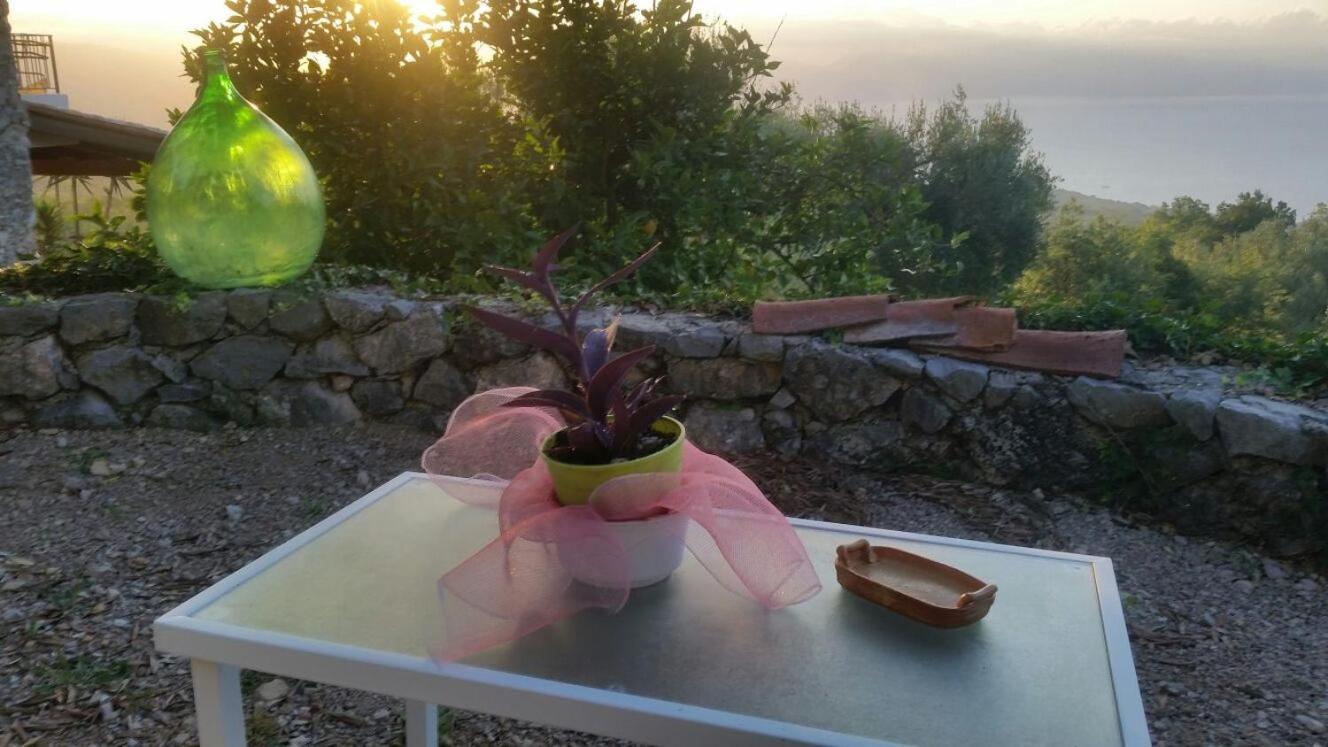 Hostal Agrestis Domus San Giovanni a Piro Exterior foto