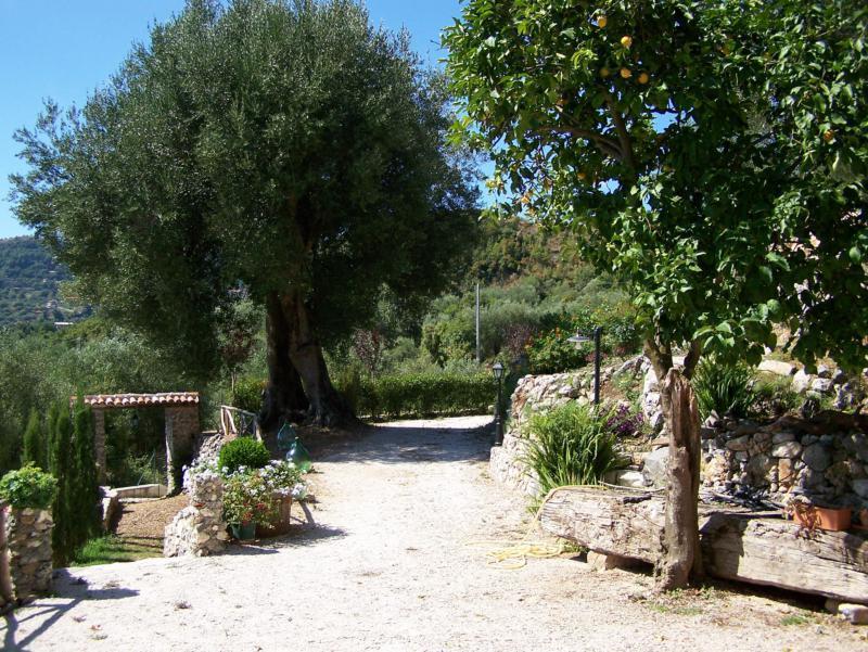 Hostal Agrestis Domus San Giovanni a Piro Exterior foto