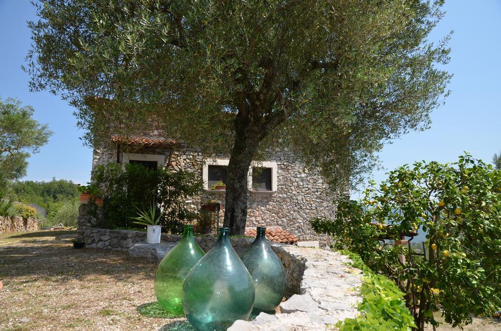 Hostal Agrestis Domus San Giovanni a Piro Exterior foto